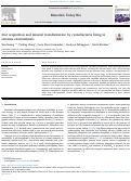 Cover page: Iron acquisition and mineral transformation by cyanobacteria living in extreme environments.