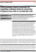 Cover page: P300 promotes tumor recurrence by regulating radiation-induced conversion of glioma stem cells to vascular-like cells