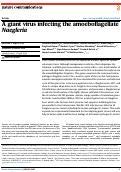 Cover page: A giant virus infecting the amoeboflagellate Naegleria