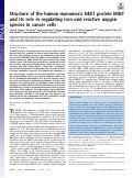 Cover page: Structure of the human monomeric NEET protein MiNT and its role in regulating iron and reactive oxygen species in cancer cells