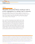 Cover page: Myopathy associated BAG3 mutations lead to protein aggregation by stalling Hsp70 networks