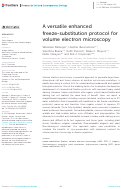 Cover page: A versatile enhanced freeze-substitution protocol for volume electron microscopy.