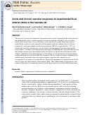 Cover page: Acute and Chronic Vascular Responses to Experimental Focal Arterial Stroke in the Neonate Rat