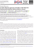 Cover page: A draft reference genome assembly of the Pipevine Swallowtail butterfly, Battus philenor hirsuta