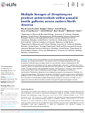 Cover page: Multiple lineages of Streptomyces produce antimicrobials within passalid beetle galleries across eastern North America