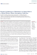 Cover page: Genetic Architecture of Resistance to Stripe Rust in a Global Winter Wheat Germplasm Collection