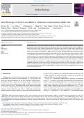 Cover page: Dual blockage of STAT3 and ERK1/2 eliminates radioresistant GBM cells