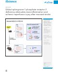 Cover page: Global sphingosine-1-phosphate receptor 2 deficiency attenuates neuroinflammation and ischemic-reperfusion injury after neonatal stroke