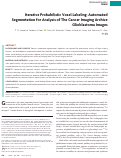 Cover page: Iterative Probabilistic Voxel Labeling: Automated Segmentation for Analysis of The Cancer Imaging Archive Glioblastoma Images