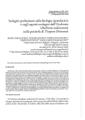 Cover page: Indagini preliminari sulla biologia riproduttiva e sugli aspetti ecologici dell'Occhione (<i>Burhinus oedicnemus</i>) nella penisola di Thapsos (Siracusa)