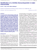 Cover page: Identification of a 4.5S-like ribonucleoprotein in maize mitochondria.