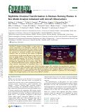 Cover page: Nighttime Chemical Transformation in Biomass Burning Plumes: A Box Model Analysis Initialized with Aircraft Observations