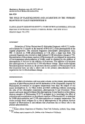 Cover page: The role of plastoquinone and beta-carotene in the primary reaction of plant photosystem II.