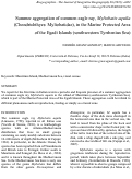 Cover page: Summer aggregation of common eagle ray, Myliobatis aquila (Chondrichthyes: Myliobatidae), in the Marine Protected Area  of the Egadi Islands (southwestern Tyrrhenian Sea)