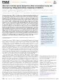 Cover page: Aberrant cortical spine dynamics after concussive injury are reversed by integrated stress response inhibition