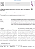 Cover page: Global gene expression analysis of the Myxococcus xanthus developmental time course.