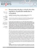 Cover page: Brassinosteroids play a critical role in the regulation of pesticide metabolism in crop plants