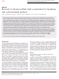 Cover page: Reversal of intramyocellular lipid accumulation by lipophagy and a p62-mediated pathway.