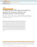 Cover page: A single-nucleus RNA-sequencing pipeline to decipher the molecular anatomy and pathophysiology of human kidneys