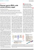 Cover page: Human sperm RNA code senses dietary sugar