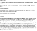 Cover page: 1.7-micron optical coherence tomography angiography for characterization of skin cancer